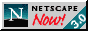 netnow3.gif (1884 byte)