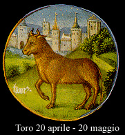 [toro]