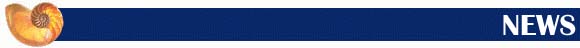 [News]