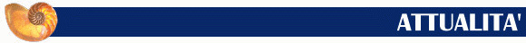 [ATTUALITA']