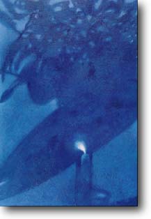 stef2p.jpg (11152 byte)