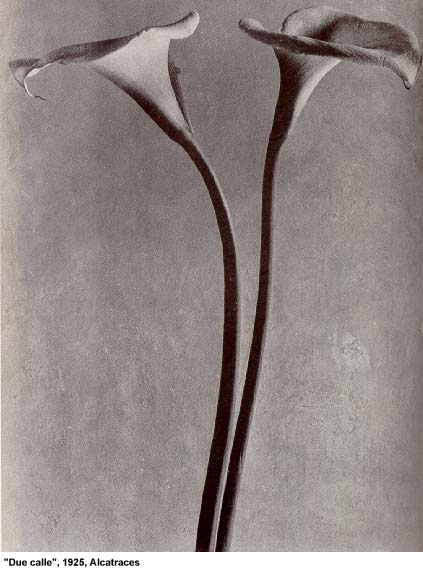 calle.jpg (38691 byte)