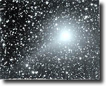 cometawilliams.jpg (22059 byte)