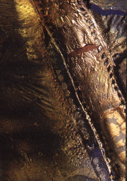 franc2.jpg (77343 byte)