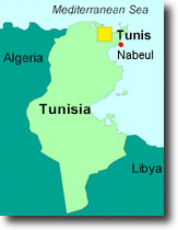 tunisia_map.jpg (13442 byte)