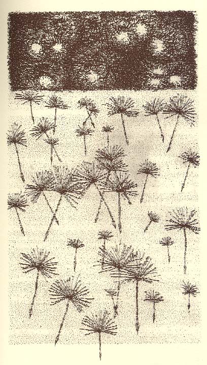 guzzon1.JPG (136825 byte)