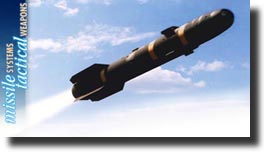 mis.jpg (12378 byte)