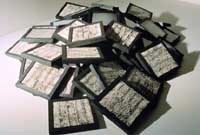 pengo2_p.jpg (11708 byte)