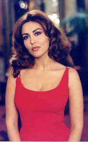 fer2.jpg (11418 byte)