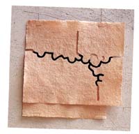 chill2_p.jpg (14886 byte)