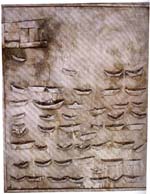 mancino2_p.jpg (14656 byte)