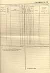 razza2_p.JPG (4819 byte)