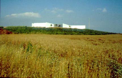 souto.jpg (24249 byte)