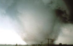 pic11.jpg (10624 byte)