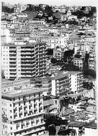 napoliD_p.jpg (31532 byte)