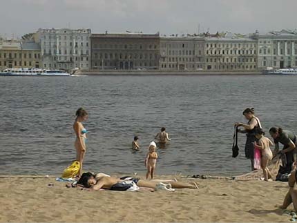 tab7c.jpg (28219 byte)