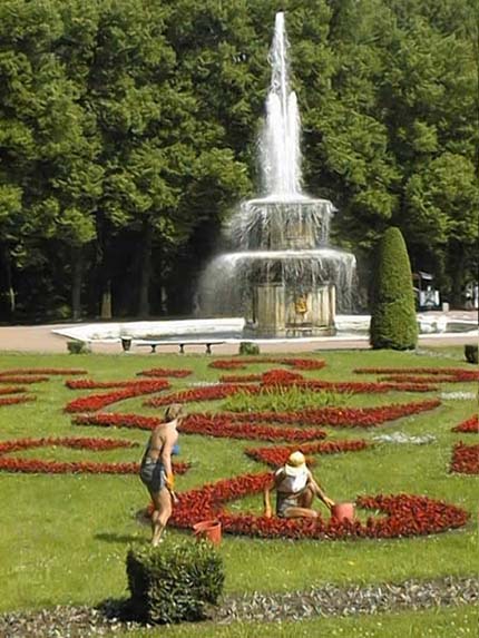 tac11a.jpg (60955 byte)