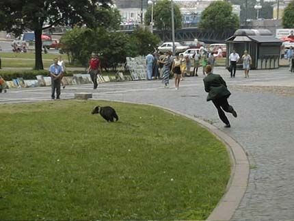 tac11b.jpg (31574 byte)