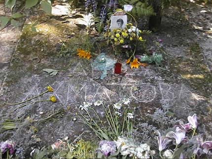 tac7a.jpg (51645 byte)