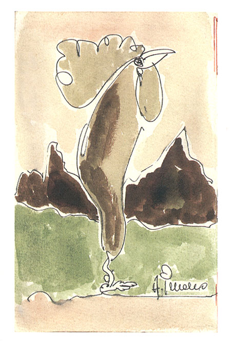 galli2.jpg (86299 byte)