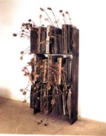 kief2_p.jpg (11970 byte)