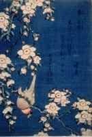 Iitsu-cardellino_p.jpg (17223 byte)