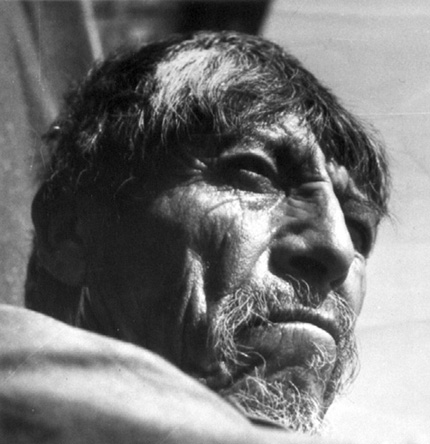 matiz-quinn.jpg (64850 byte)