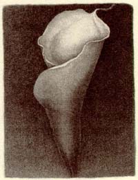 sartori.jpg (15213 byte)