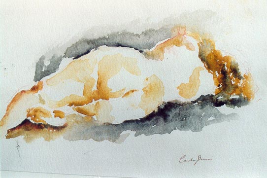 bruni2.jpg (43250 byte)