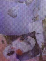 Villa Lattes1_p.JPG (9642 byte)